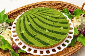 キル フェ ボン京都「茶畑」着想の宇治抹茶尽くしタルト、‟わらび餅入り”抹茶ショートケーキも