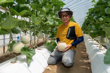 【チイオシ鉾田市プロジェクト第一弾】メロンのまち鉾田市で、農家とつながる体験を！長洲農園で農業体験してみませんか？