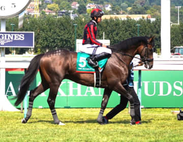 【ムーランドロンシャン賞】日本馬ゴートゥファーストが参戦予定…馬券発売へ