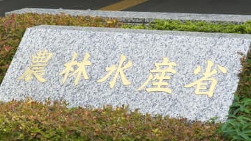 農水省が2026年度予算の概算要求でコメ増産に向けた新規取組に40億円要求へ　小泉農水相が表明
