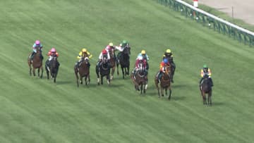 【新潟記念S＆中京2歳S・GⅢ】 2025　夏競馬フィナーレ　GⅠ馬含む重賞馬9頭が激突！