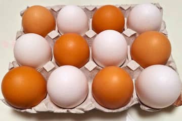 卵の赤と白、“おいしさ”は色で違う？　スーパーで売れ行きは歴然の差…料理人まで大激論の答えとは