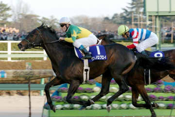 【名馬列伝】史上２頭目の偉業を成し遂げたゼンノロブロイ　挫折に次ぐ挫折を乗り越えた秋古馬三冠