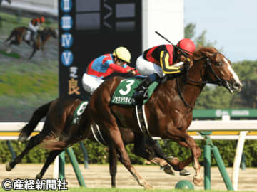 【新潟記念】長く脚を使うタイプの馬は積極的に買い目に入れたい！ 過去10年の傾向から考える３連単を的中させる戦術とは！？