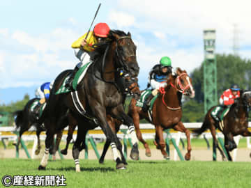 【新潟記念】馬格がないと酷暑のレースは厳しいか！？  過去10年の傾向から見る買えない馬とは