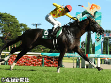【新潟記念】2000Ｍでも追走に苦しむような馬たちが激変するケースも！？  過去10年の傾向から見る波乱の主役となり得る馬とは！？