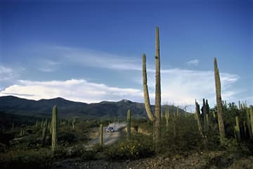 メキシコ旅 カレラを観た、聴いた、知った：伊東和彦の写真帳_私的クルマ書き残し：#34