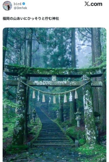 「めっちゃジブリ」と話題の絶景スポット！福岡の山奥に霧に包まれた秘境神社が美しすぎると話題沸騰！