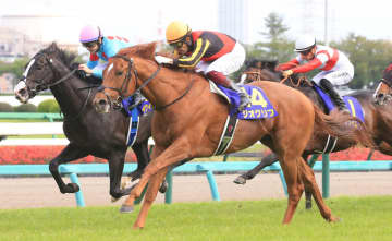 皐月賞馬ジオグリフが競走馬登録を抹消、種牡馬入りへ