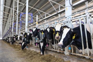 スマート化と環境配慮で乳業に新展開　中国湖北省襄陽市