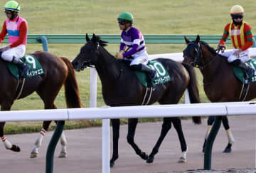 【サマーチャンピオン】エンペラーワケアなどJRA馬5頭