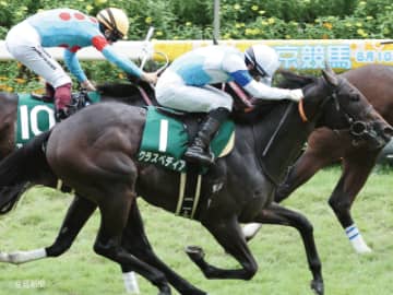 【中京２歳Ｓ】前走のレース内容が良くても人気薄になるケースがある！波乱の主役となる馬とは！？