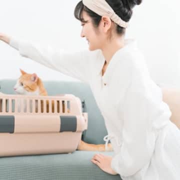 室内放し飼いの猫でも『ケージ』はあるといい？必要になるシーンやメリット・デメリットを解説