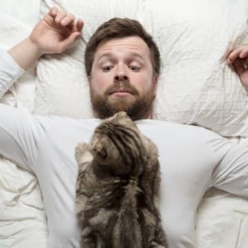 起きろ、主…愛猫が繰り出す『飼い主を叩き起こすためのワザ』3選　回避のためのアイデアも