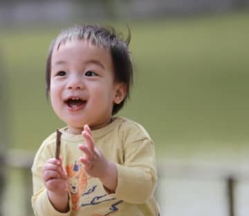 【参加無料!】木陰がいっぱい！森の中をゆっくり観察しよう♪【しぜんさんぽ＆森のおさんぽ】