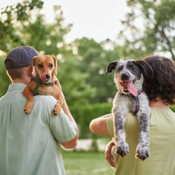 愛犬が『生活の中心』になるのは危ない？起こりうる3つのリスクや愛犬を不幸にする理由まで