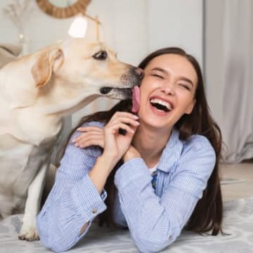 犬が飼い主に『感謝』を伝えているときにみせる行動4選　見逃したくない愛犬からのサインとは？