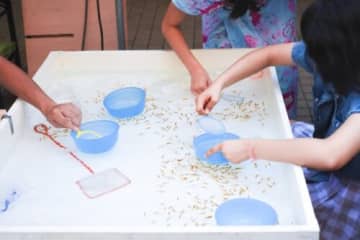 こどもたちに大人気の「めだかすくい＆即売会」開催！筆文字屋缶バッジ作成イベントも！【9月14日/道の駅草津】