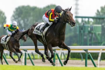 【新潟4R】レイデオロ産駒 オリオアルセーリオ人気に応える
