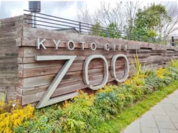 夜の動物園でスタンプラリーやイルミネーション体験★秋の夜間開園『今日からあなたも動物名探偵』開催！【9月13日〜15日/京都市動物園】