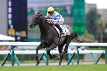 【新馬/札幌5R】レイデオロ産駒 エリプティクカーブが早め先頭から押し切る