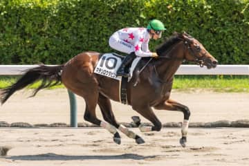 【新馬/新潟6R】外国産マテンロウダビンチが6馬身差圧勝