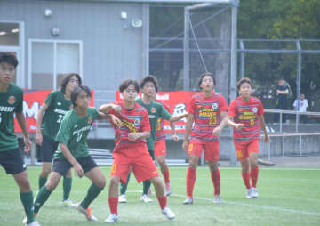 早大学院は48発圧勝　明星学園、創価なども初戦突破　東京予選が開幕