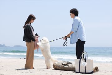 『初恋DOGs』宮﨑真佐子P、俳優犬たちの名演技に驚き「最後はセリフをしゃべり出すんじゃないかと（笑）」