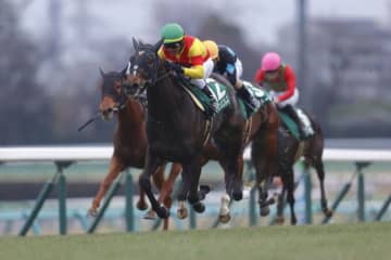 【京成杯AH登録馬】エリカエクスプレスなど16頭