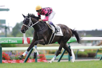 【札幌2歳S登録馬】良血スマートプリエールなど13頭