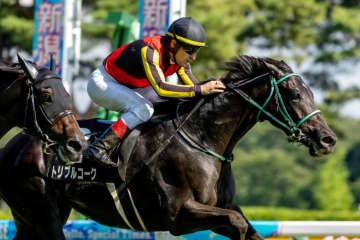 【瓢湖特別】良血トリプルコークが2勝目