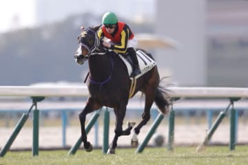 【紫苑S登録馬】桜花賞3着・リンクスティップなど15頭