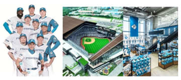 『北海道日本ハムファイターズ応援キャンペーン』開催中！選手直筆サイン入りクリアファイルを購入先着60名様にプレゼント