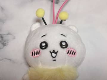 セブンイレブン限定！ちいかわの「ハチさんぬいぐるみ」を買ってみたら…後ろ姿まで可愛すぎたよ♪