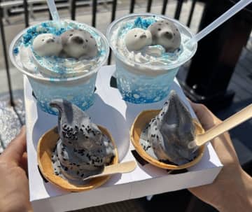 そんな目で見ないで…！新江ノ島水族館のアザラシソーダ、可愛すぎる上目遣いに「これは食べれないな〜」の声も
