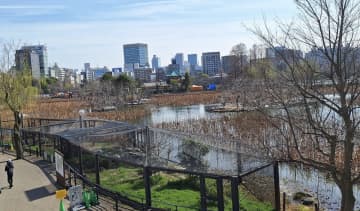 「一日では回りきれない」上野公園はただの公園ではなかった。口コミで判明した文化のテーマパークとしての本当の姿とは
