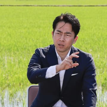 小泉進次郎農相が支援明言も…コメの「高温耐性品種」栽培が日本で進まない事情