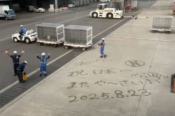 甲子園閉幕後の神戸空港、駐機場に描かれたメッセージが「神対応」と話題　航空会社に話を聞いた