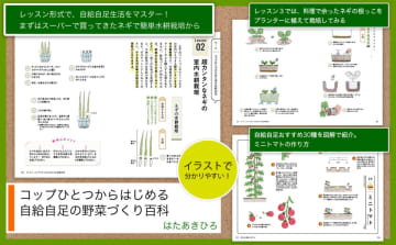 都会でもマンションでもできる自給自足　はたあきひろ『コップひとつからはじめる 自給自足の野菜づくり百科』
