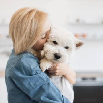 犬に対する『無意識なNG行動』3つ　あなたは大丈夫？実は愛犬を傷付けているかも…