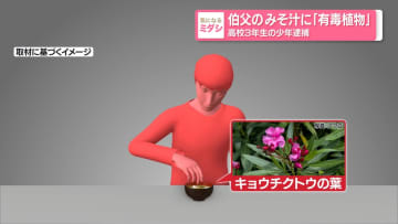 伯父のみそ汁に「有毒植物」　高校3年生の少年逮捕