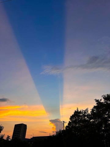 夕焼けと蒼天...くっきり〝割れた〟空の色に9.1万人感動　「んだこれ美しすぎ」「名前を知れて嬉しい」