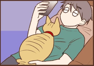 【吉川さん家の猫事情】#108話 狙われてる…！？