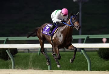 【盛岡・ビギナーズカップ】レジェンドバローズが無傷の3連勝！…7馬身差の圧勝