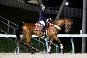 藤田菜七子元騎手、門別で誘導馬騎乗…引退後初の馬上姿に歓声