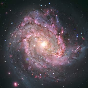 チャンドラX線宇宙望遠鏡ほかが観測した“南の回転花火銀河”こと「M83」