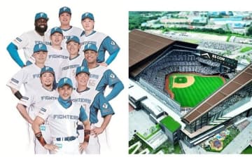 「エスコンフィールドHOKKAIDO」ハーバー特設ブース出展！『北海道日本ハムファイターズ応援キャンペーン』　～ハーバースペシャルサンクイベント～　2025年9月11日(木)限定　～北海道生まれのハーバーは北海道日本ハムファイターズを応援しています～
