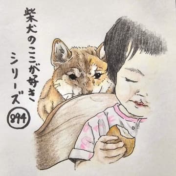 柴犬あるある、狙った獲物からは決して目を離さないとこ｜連載「ここ掘れここ柴」vol.295