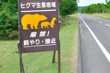 北海道・羅臼岳での男性ヒグマ被害 2週間前に『餌付け』疑いが浮上しネットでコメント殺到「エサをあげる気持ちはわかる。でもやるなら最終的に自分が引き取る覚悟でやってほしい」「ネコやハトとわけが違うだろ、、」