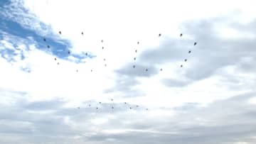 中国人民抗日戦争・世界反ファシズム戦争勝利80周年記念大会、分列式の幕を開ける空中護旗梯隊